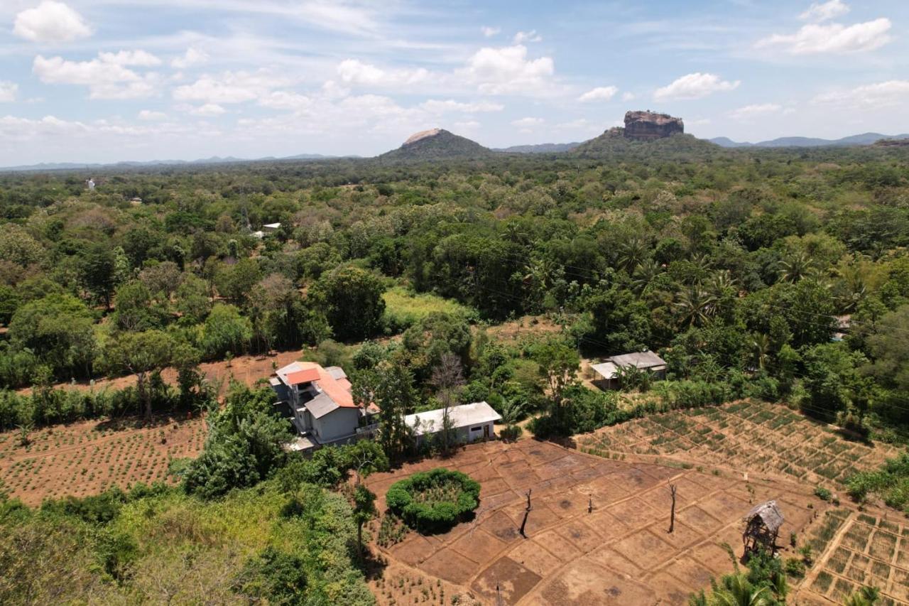 Sigiriya Sun Shine Villa Екстер'єр фото